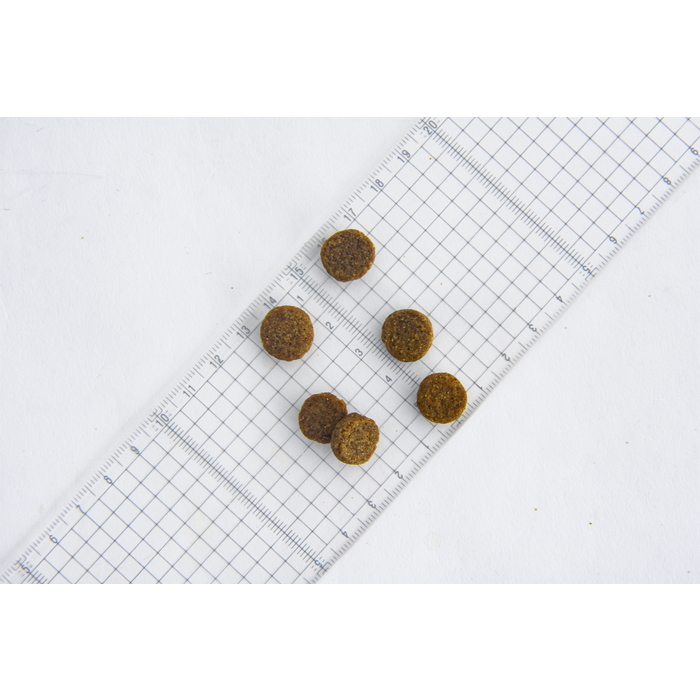 犬用 ニューロサポート 3㎏(3kg): 犬用製品 ❘ 療法食サニメド