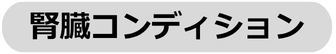 腎臓コンディション