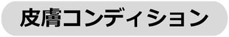 皮膚コンディション