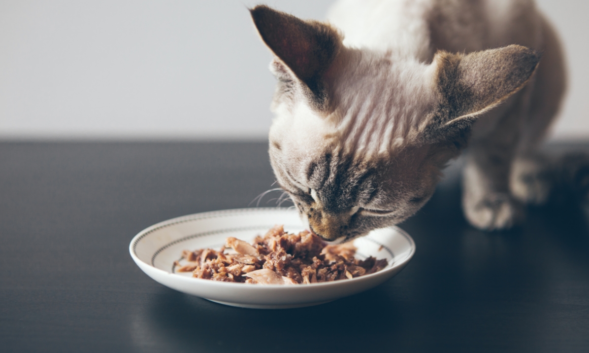 特徴01イメージ