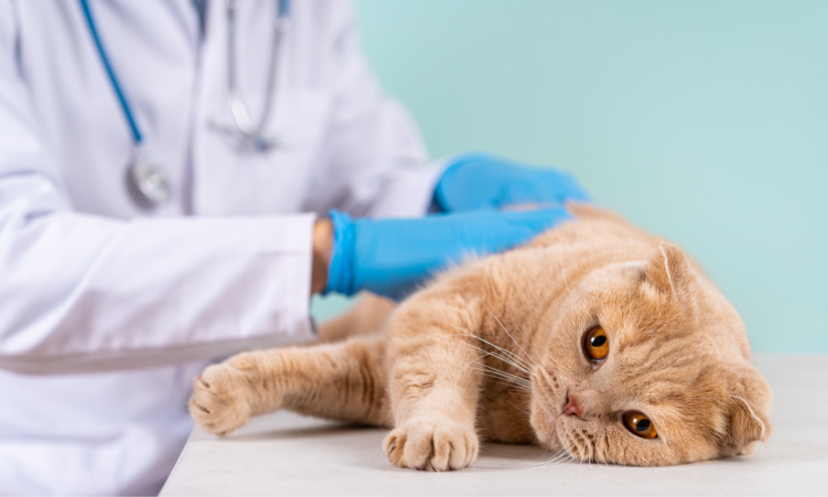 特徴03イメージ