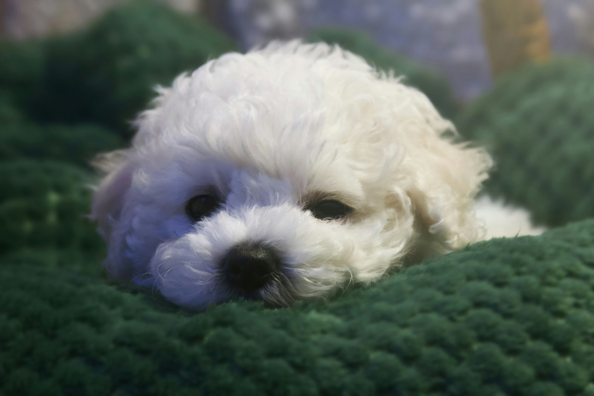 胆泥症と診断された!普段の生活で気を付けることはある?