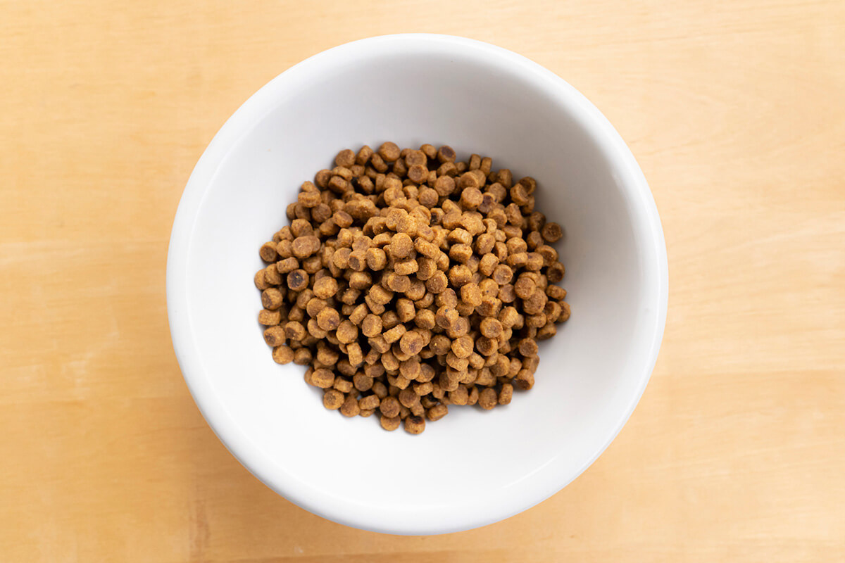 犬の療法食とは