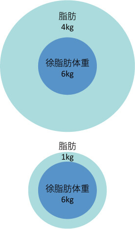 食事量の決め方