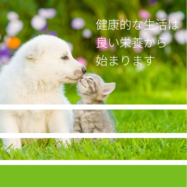 療法食サニメド
